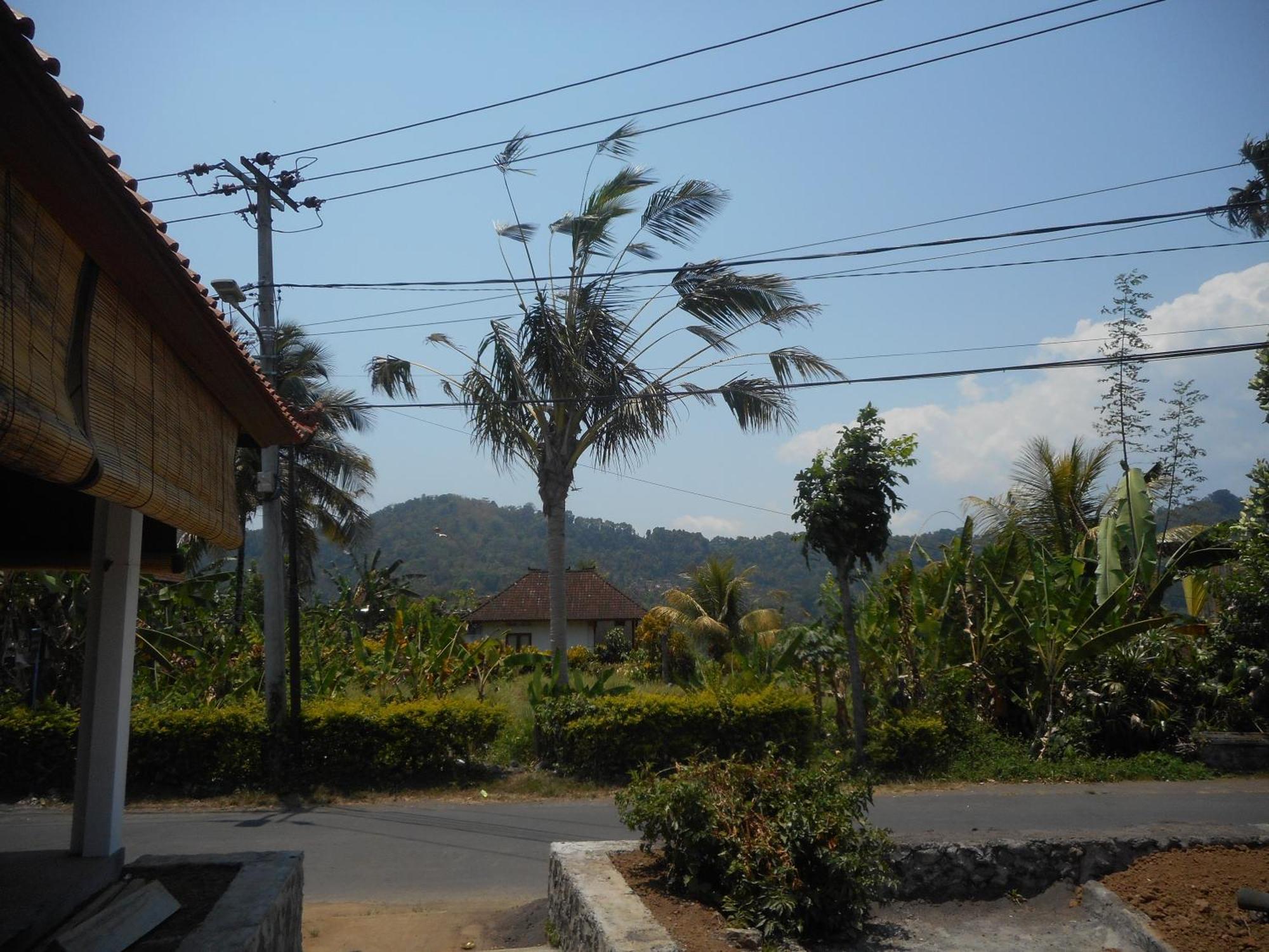 Lila Stana - Sidemen Homestay מראה חיצוני תמונה